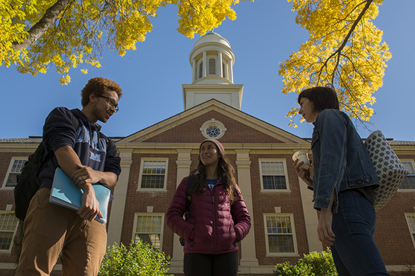 Students in the fall