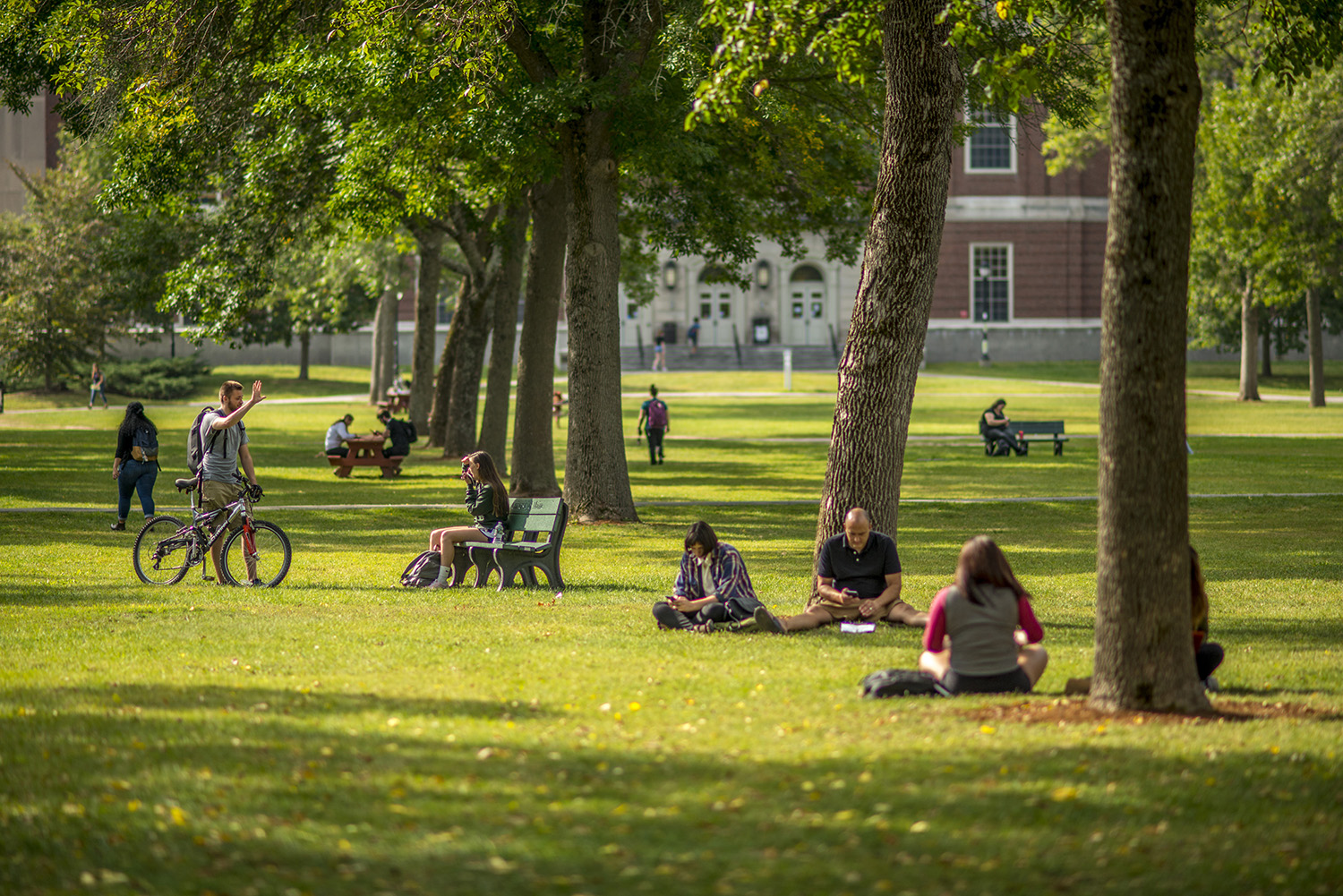 Students on the mall