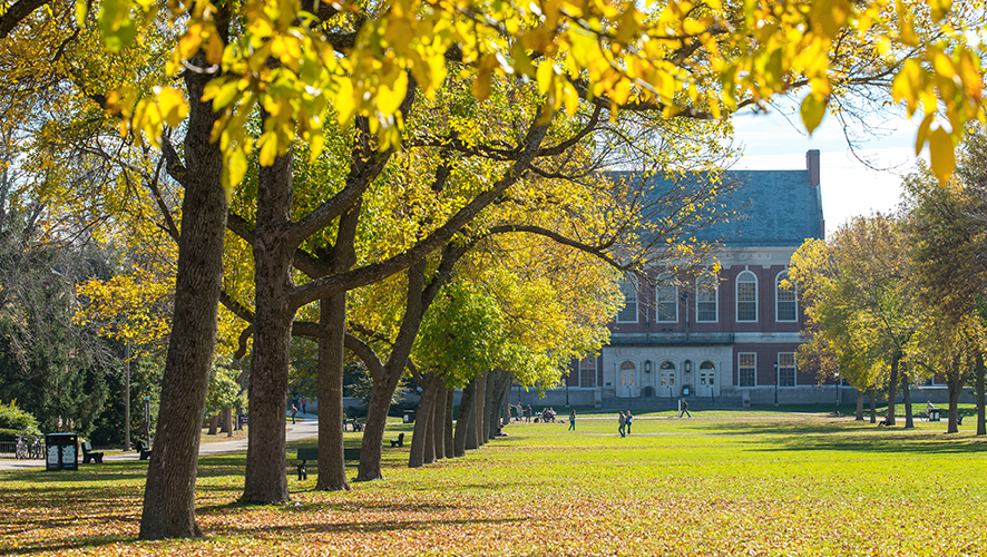 The campus mall in the fall