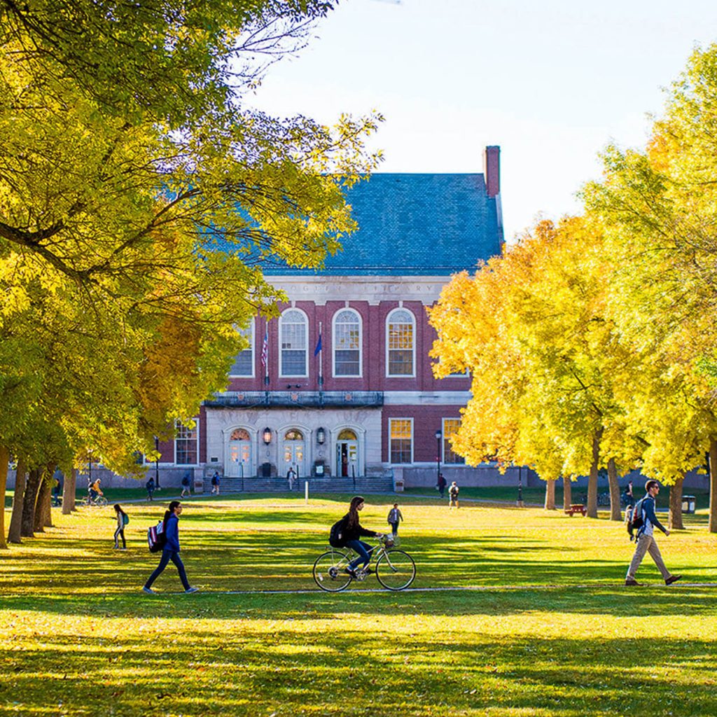 A photo of students on UMaine's Mall in fall