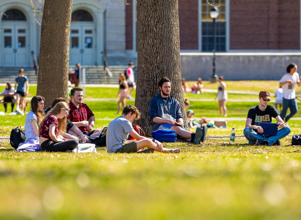 A photo of people sitting on UMaine's Mall in spring