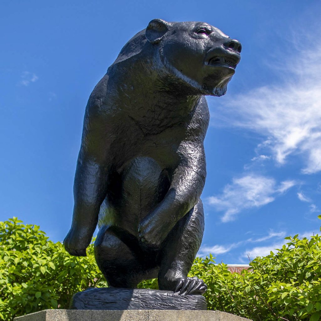 A photo of UMaine's Black Bear statue