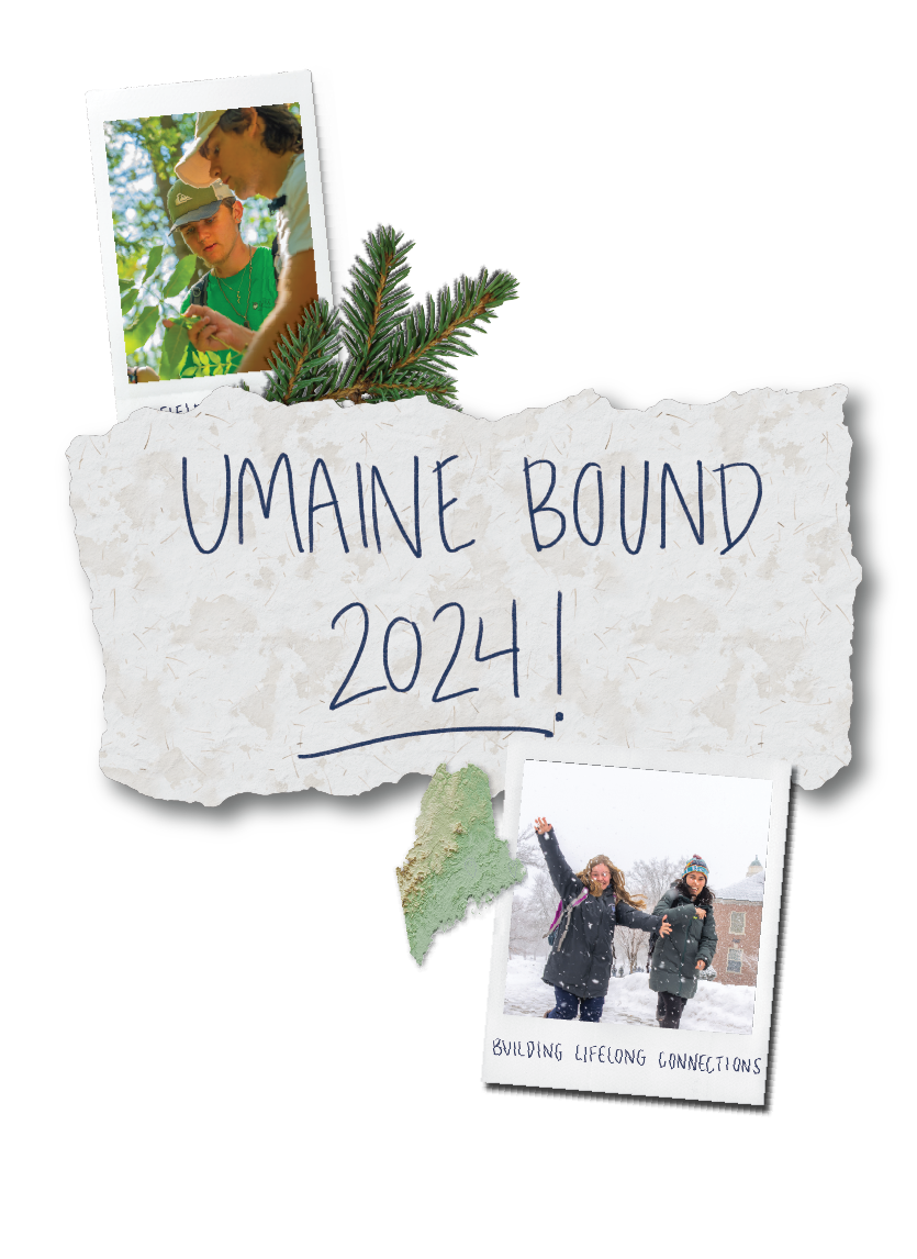 A photo collage showing photos of students walking in the snow and students working in a forest, text that says, "UMaine Bound 2024!," a pine branch and the state of Maine map with points showing Orono and Machias.