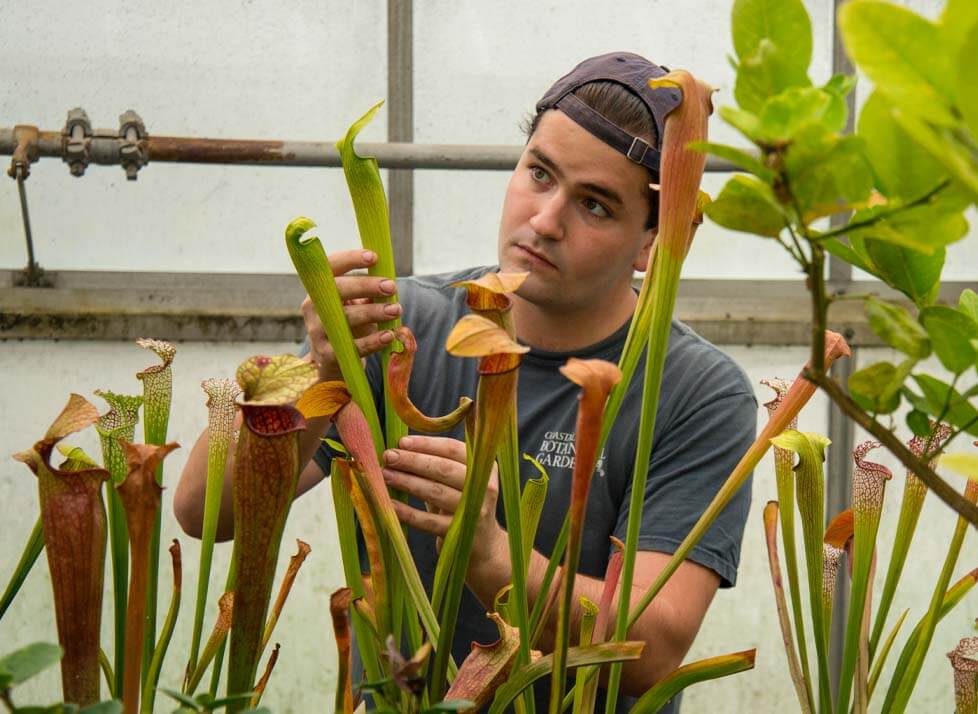A photo of a student working in a greenhouse