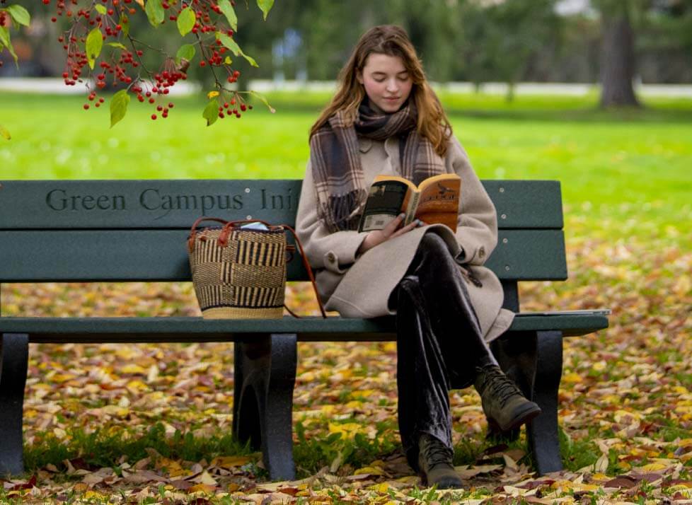 A photo of someone reading on a bench in fall