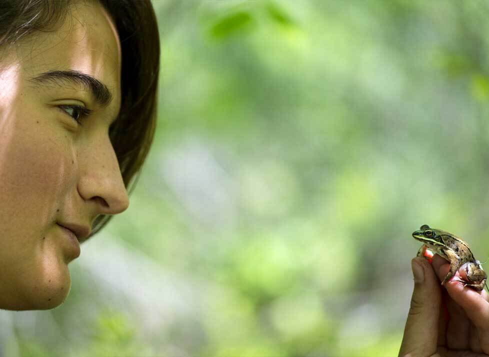 A photo of a person looking at a frog
