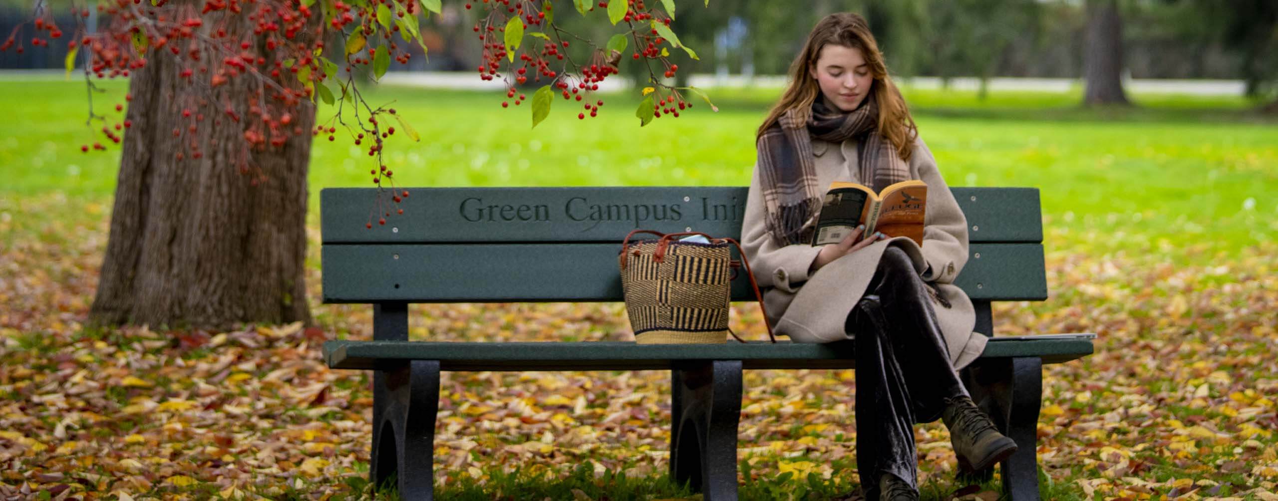 A photo of someone reading on a bench in fall
