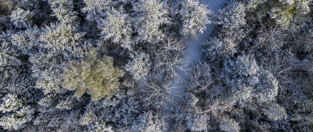 An aerial photo of a winter forest