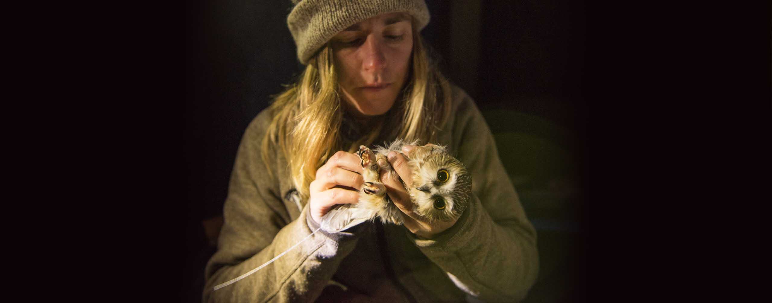 A photo of a woman holding a small owl at night