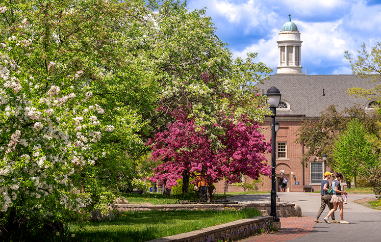 A photo of students walking around in the spring